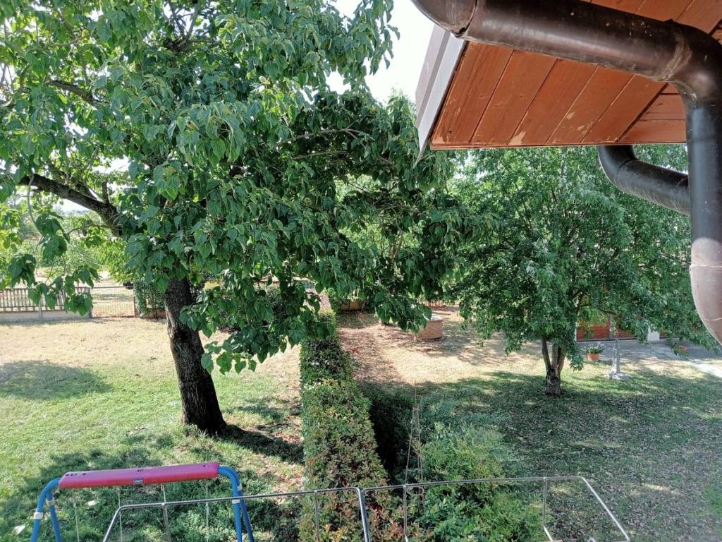 Rustico / casale a Alessandria - Foto 4