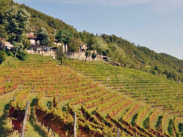 Immobile a Serole - Foto 5