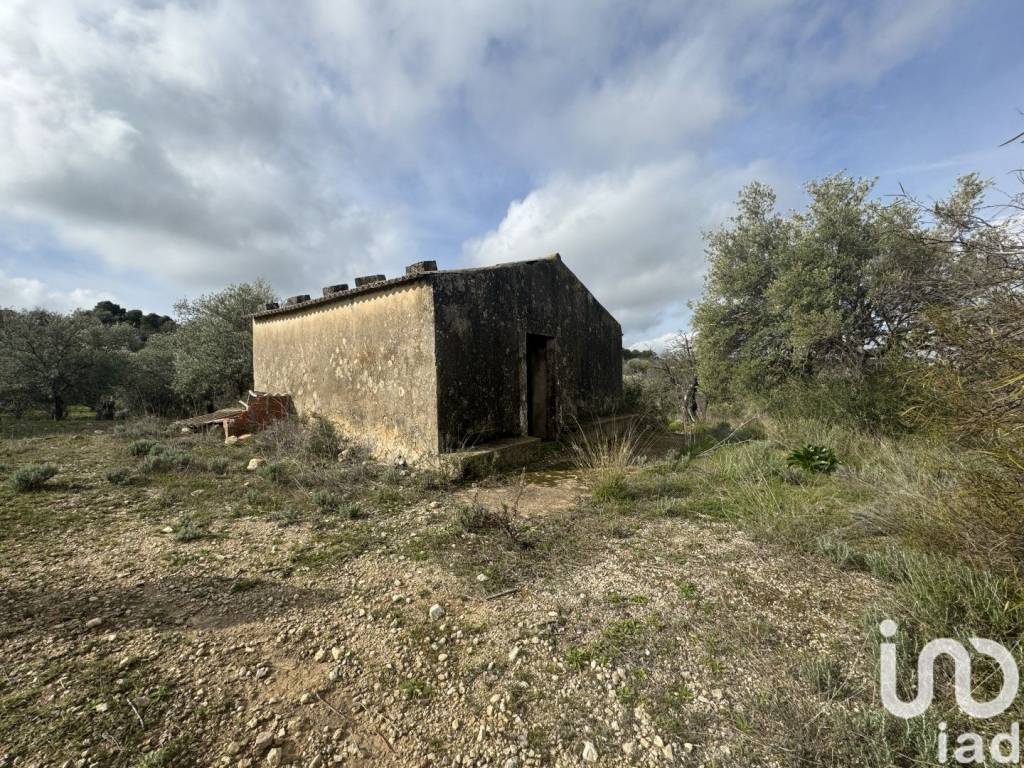 Terreno a Noto in Strada Statale Sud Occidentale Sicula - Foto 2