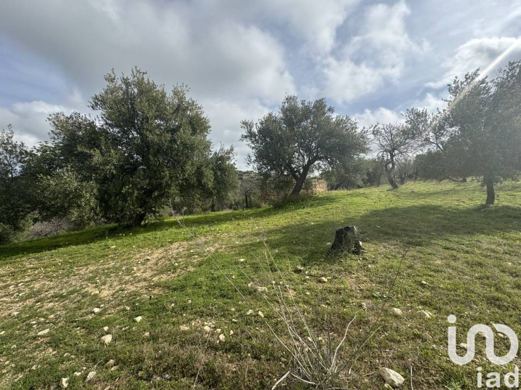 Terreno a Noto in Strada Statale Sud Occidentale Sicula - Foto 3
