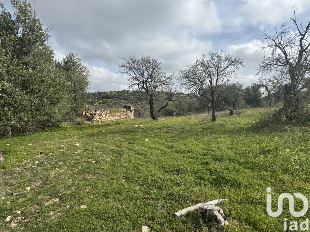 Terreno a Noto in Strada Statale Sud Occidentale Sicula - Foto 4