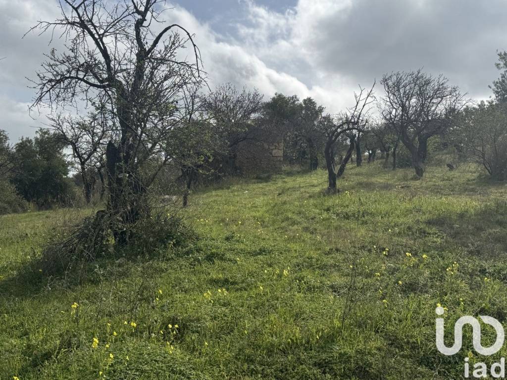 Terreno a Noto in Strada Statale Sud Occidentale Sicula - Foto 5