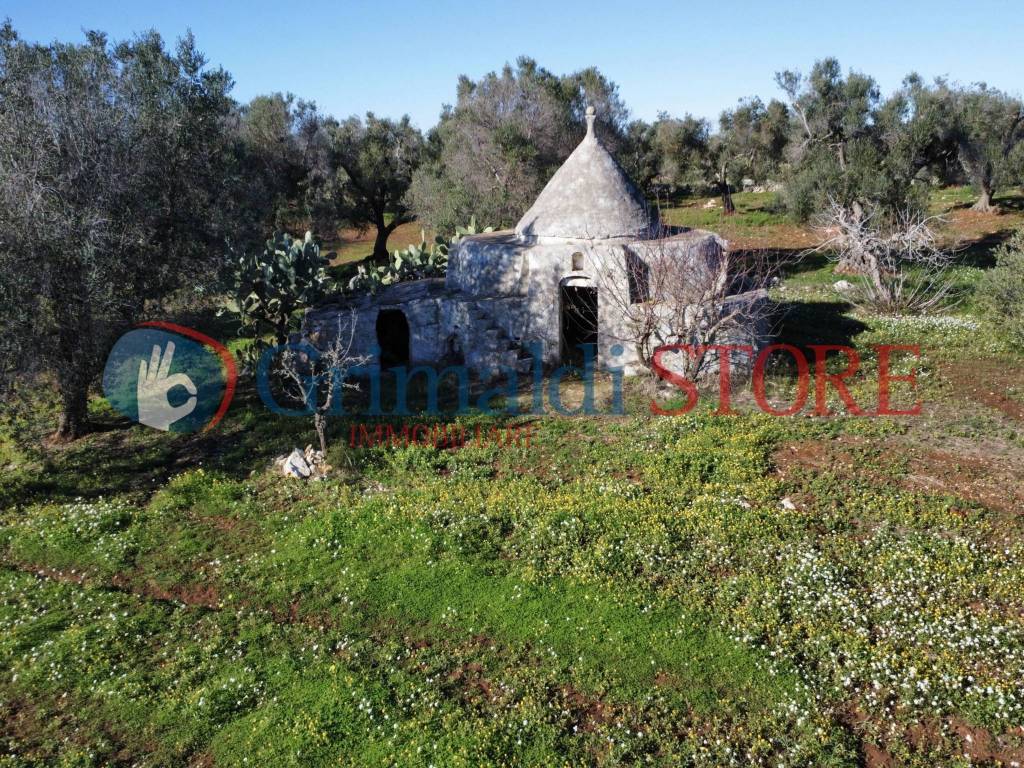 Villa a Carovigno in Contrada Colacurto - Foto 2