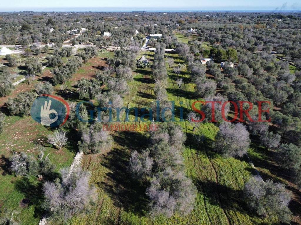 Villa a Carovigno in Contrada Colacurto - Foto 4