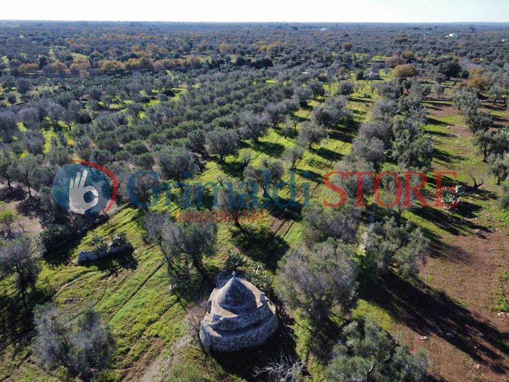 Villa a Carovigno in Contrada Colacurto - Foto 5