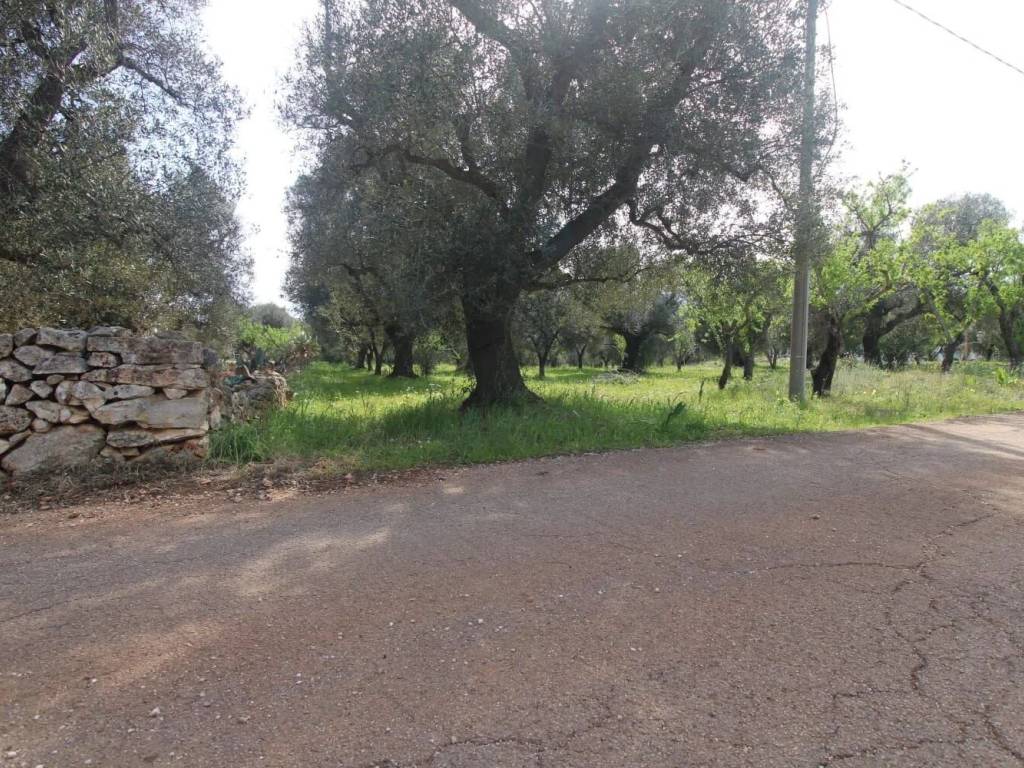 Terreno a Carovigno in Contrada Aspri No Number - Foto 5