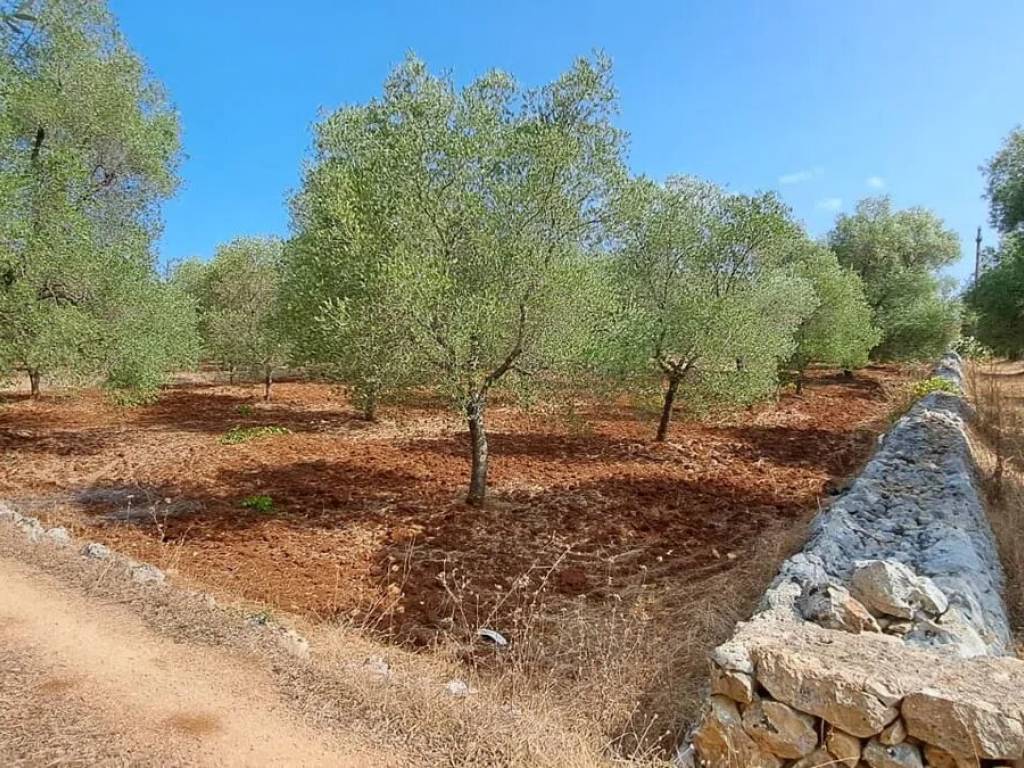 Terreno a Carovigno in SS16 - Foto 4