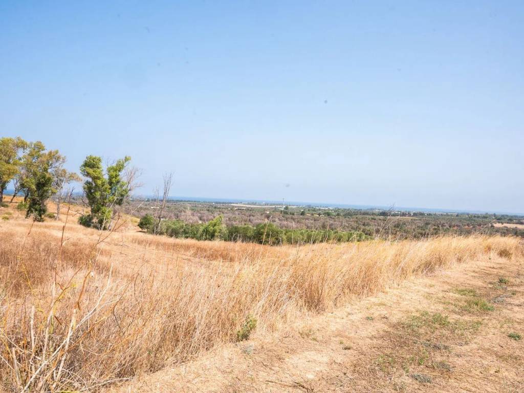 Terreno a Carovigno in Strada Provinciale 37, 13 - Foto 5