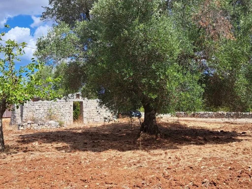 Terreno a Carovigno in Contrada Pagliamonte No Number - Foto 3