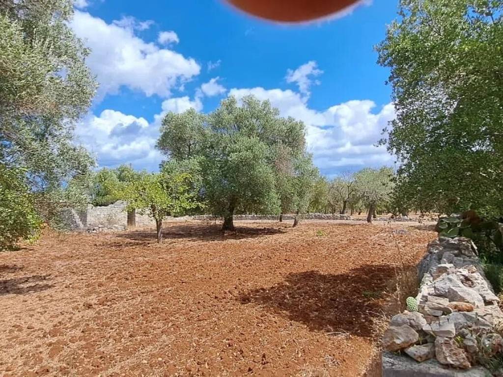 Terreno a Carovigno in Contrada Pagliamonte No Number - Foto 4