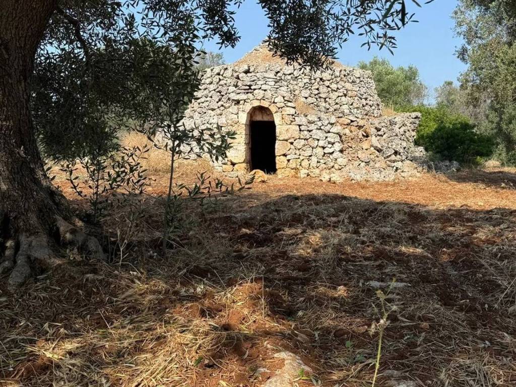 Rustico / casale a Carovigno in Contrada Sierri No Number - Foto 2