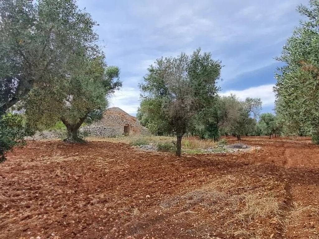 Rustico / casale a San vito dei normanni in Contrada Favone No Number - Foto 3