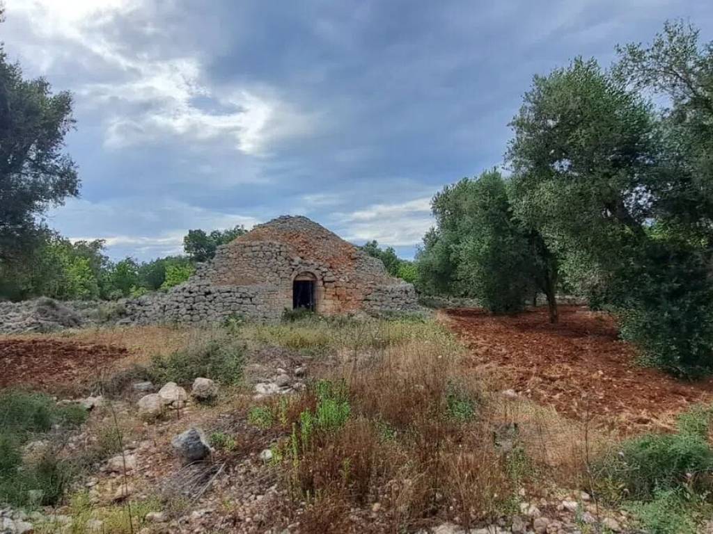 Rustico / casale a San vito dei normanni in Contrada Favone No Number - Foto 4