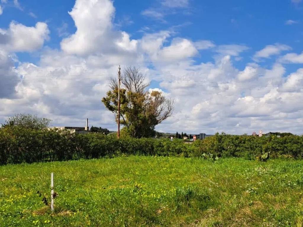Villa a Carovigno in Strada Provinciale 35 No Number - Foto 4