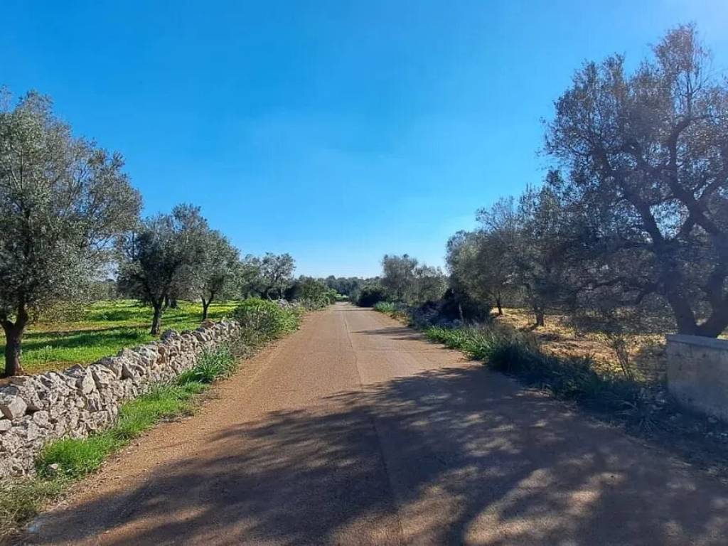 Rustico / casale a Carovigno in Contrada Favone - Foto 3