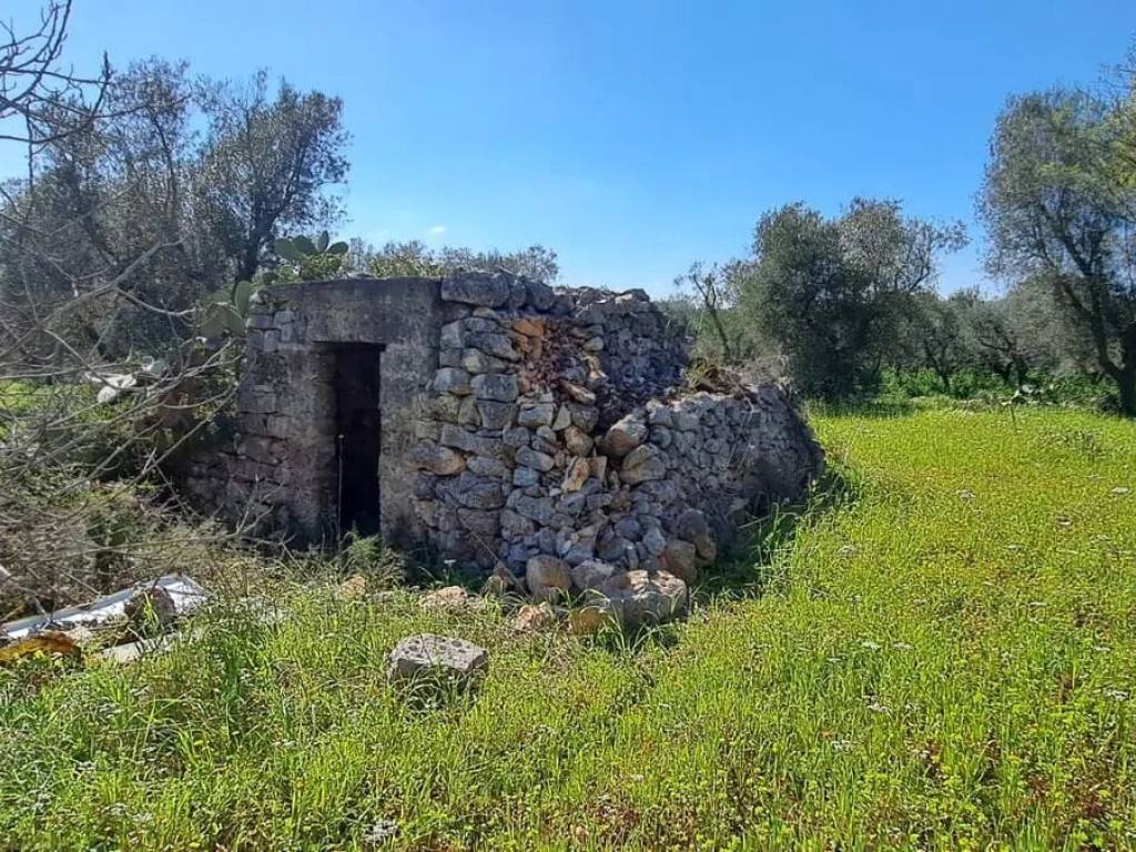 Rustico / casale a Carovigno in Contrada Citrignano No Number - Foto 3