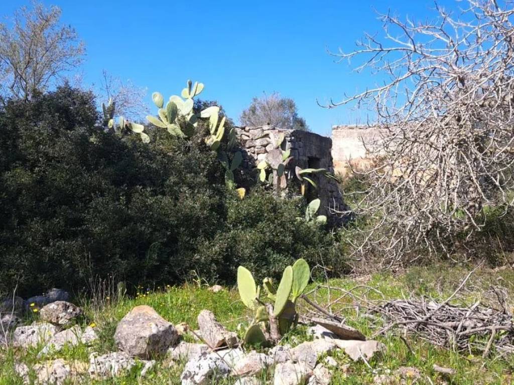 Rustico / casale a Carovigno in Contrada Citrignano No Number - Foto 4