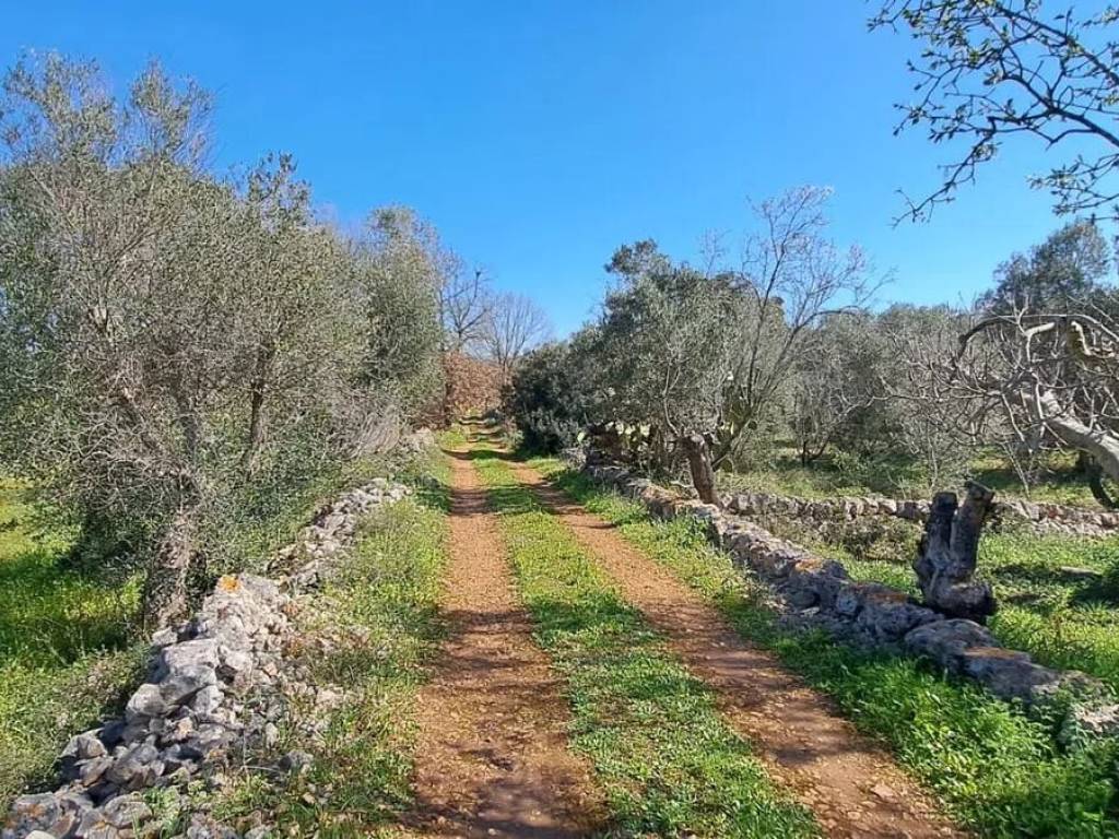 Rustico / casale a Ostuni in SP29 - Foto 5