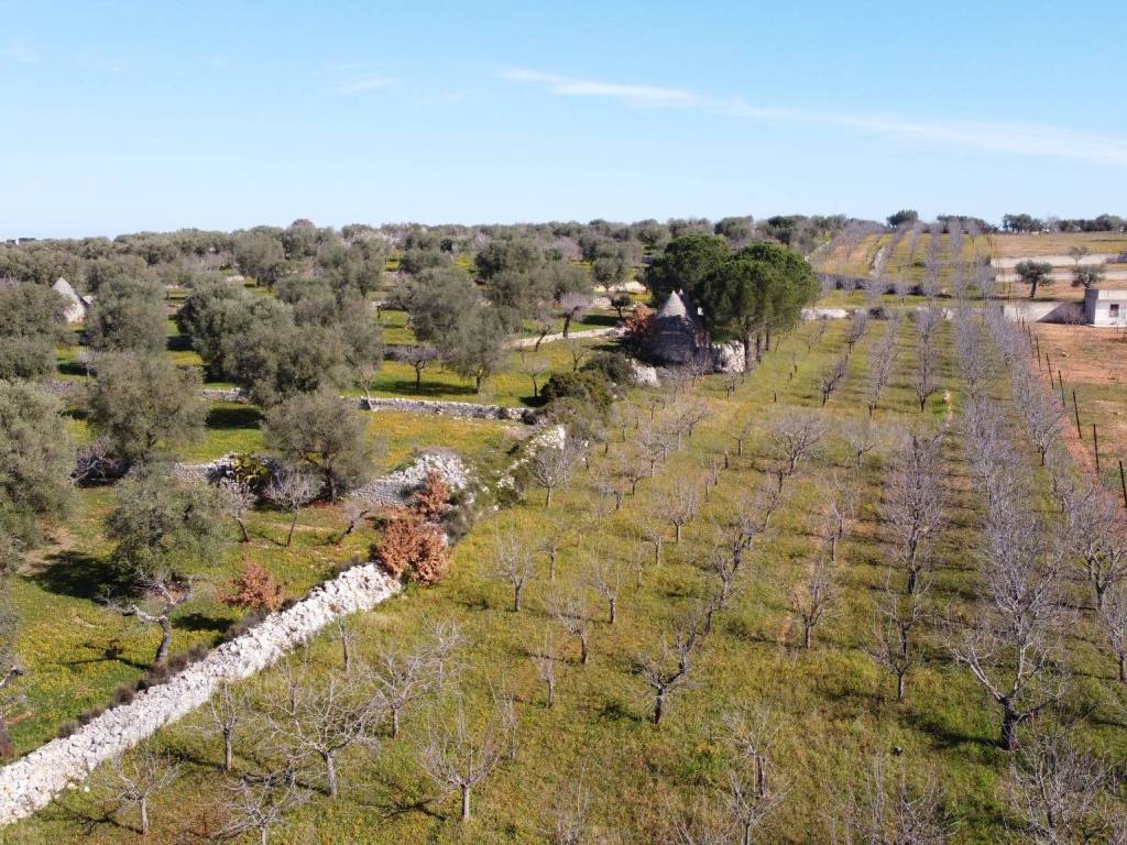 Rustico / casale a Castellana grotte in Strada Comunale Sant'Angelo - Foto 2
