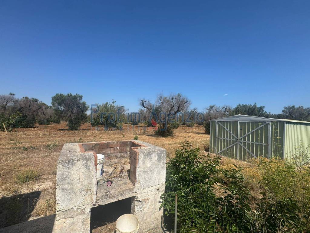 Villa a San vito dei normanni - Foto 5