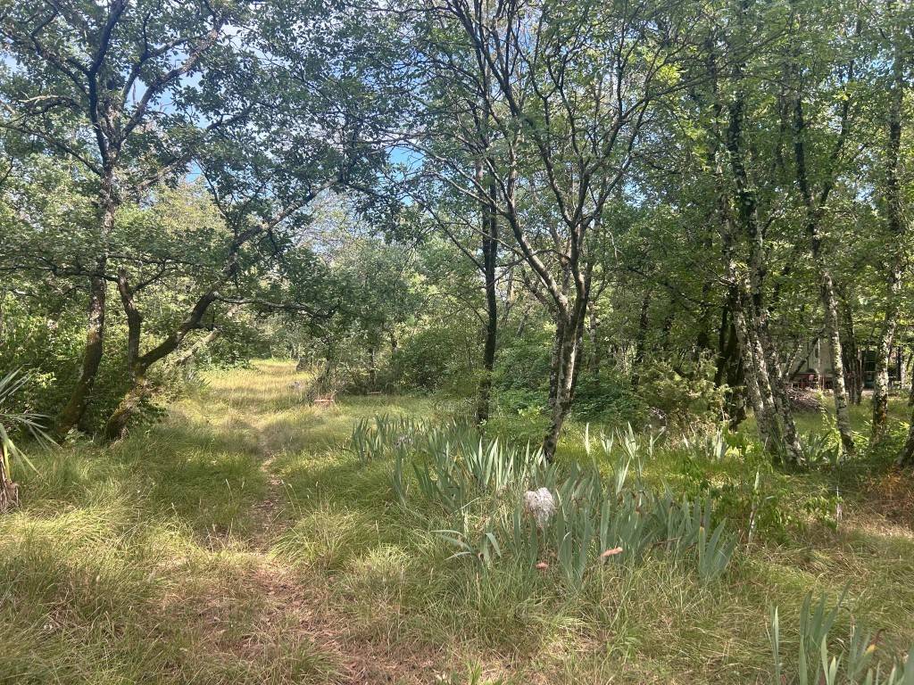 Terreno a Sgonico in Località Gabrovizza - Foto 3