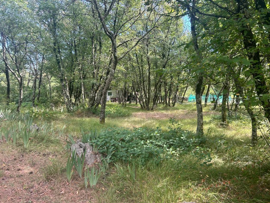 Terreno a Sgonico in Località Gabrovizza - Foto 5