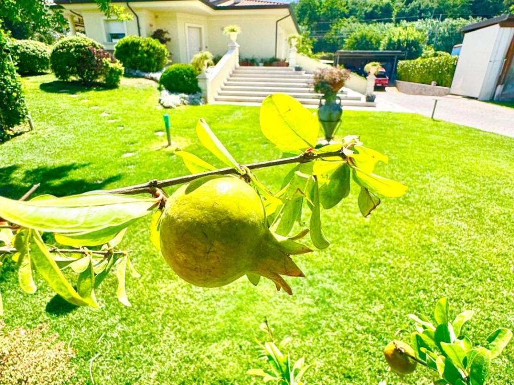 Villa a Giulianova in Via Fonte San Flaviano - Foto 4
