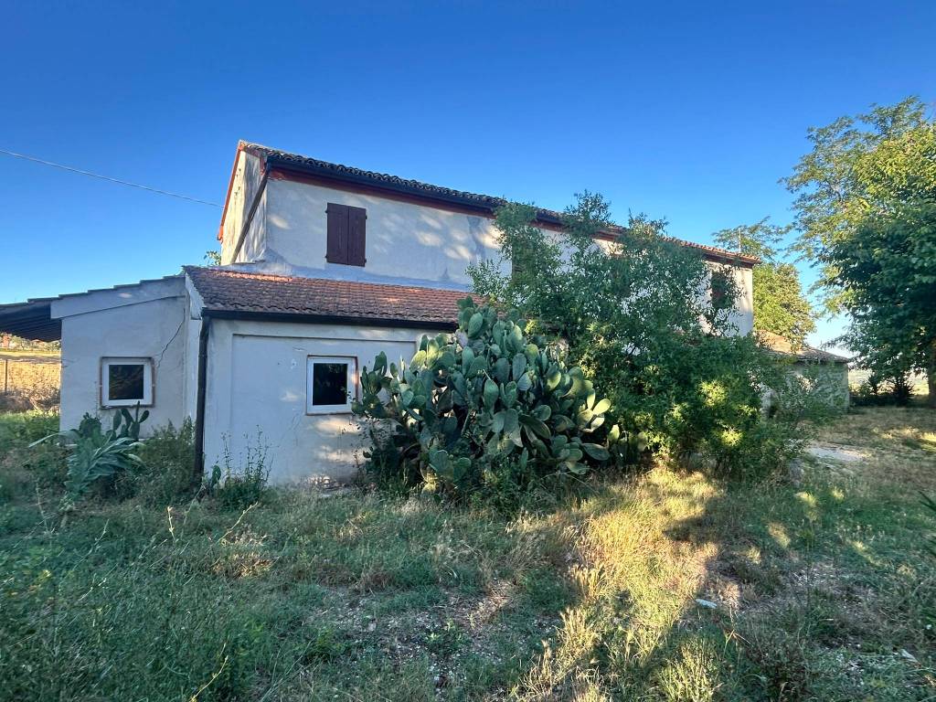 Rustico / casale a Montemarciano - Foto 2