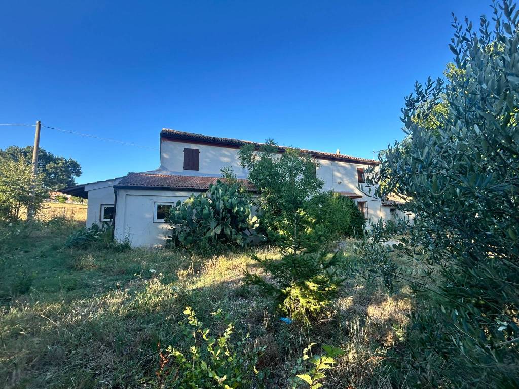 Rustico / casale a Montemarciano - Foto 3
