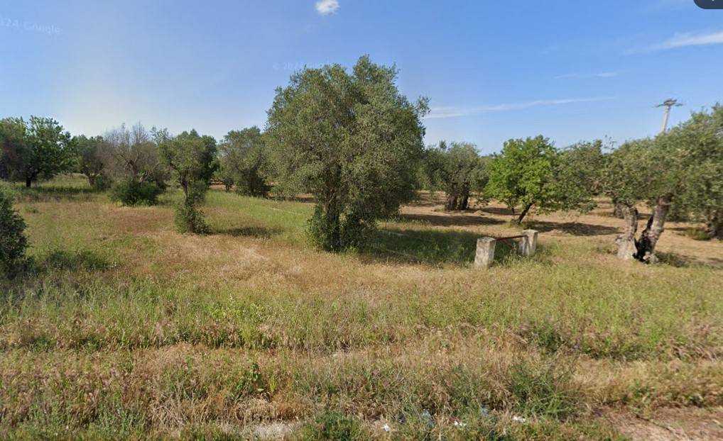 Terreno a Bari in Strada Provinciale Bitonto-Aeroporto Palese - Foto 2