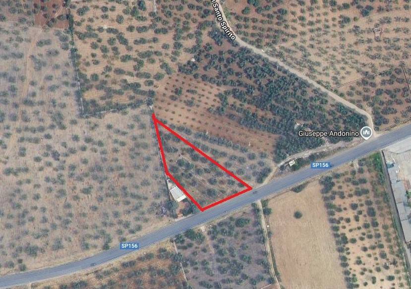 Terreno a Bari in Strada Provinciale Bitonto-Aeroporto Palese - Foto 3