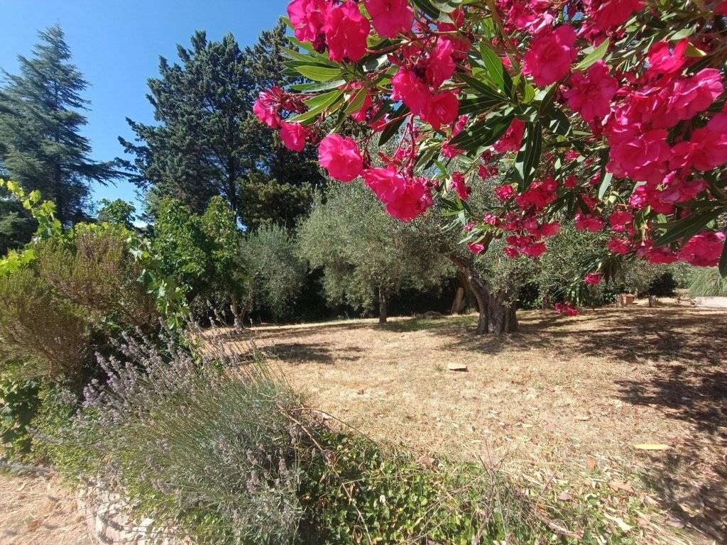 Villa a Passignano sul trasimeno in Vocabolo Pischiello - Foto 4
