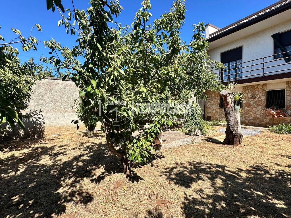 Villa a Turi in Via ninuccio napolitano - Foto 3