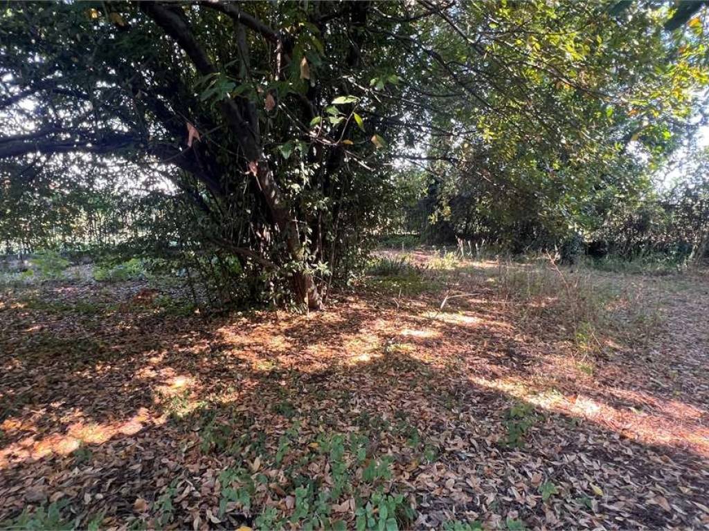 Villa a Porcari in porcari - Foto 2