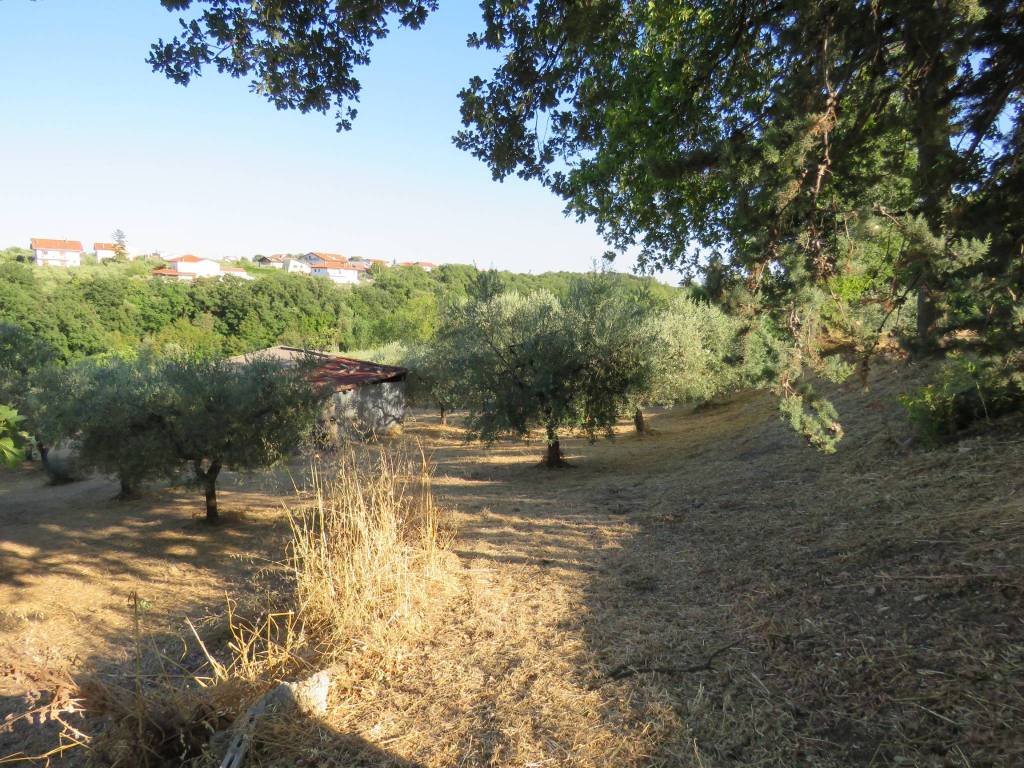 Rustico / casale a Treglio in Via dei Sospiri - Foto 2