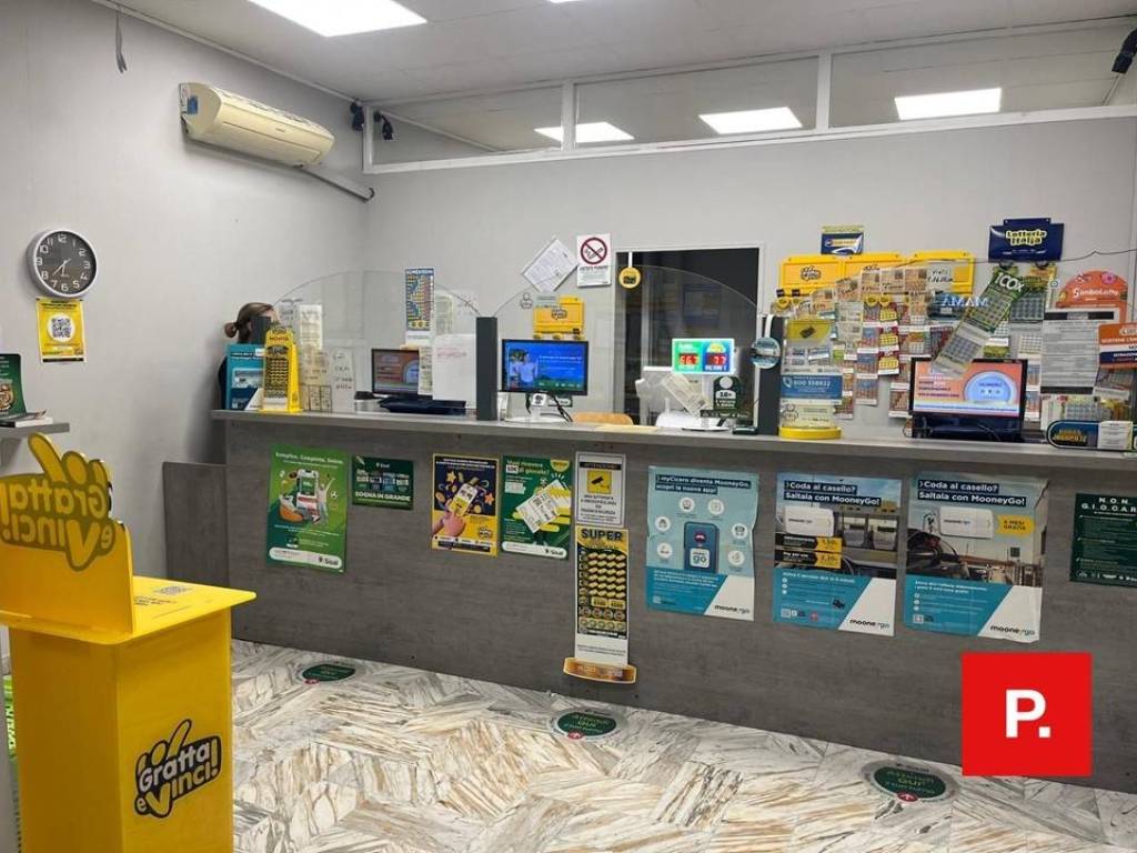immagine di copertina
