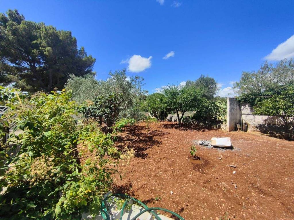 Rustico / casale a Ostuni in contrada acquarella - Foto 2