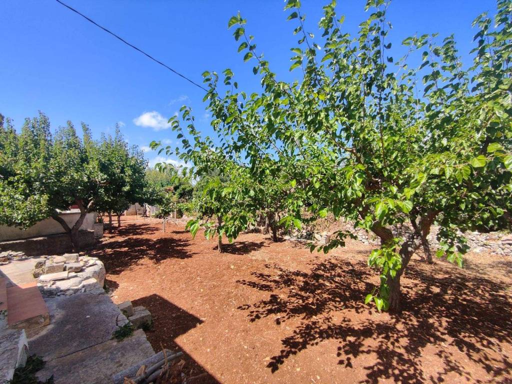 Rustico / casale a Ostuni in contrada acquarella - Foto 4