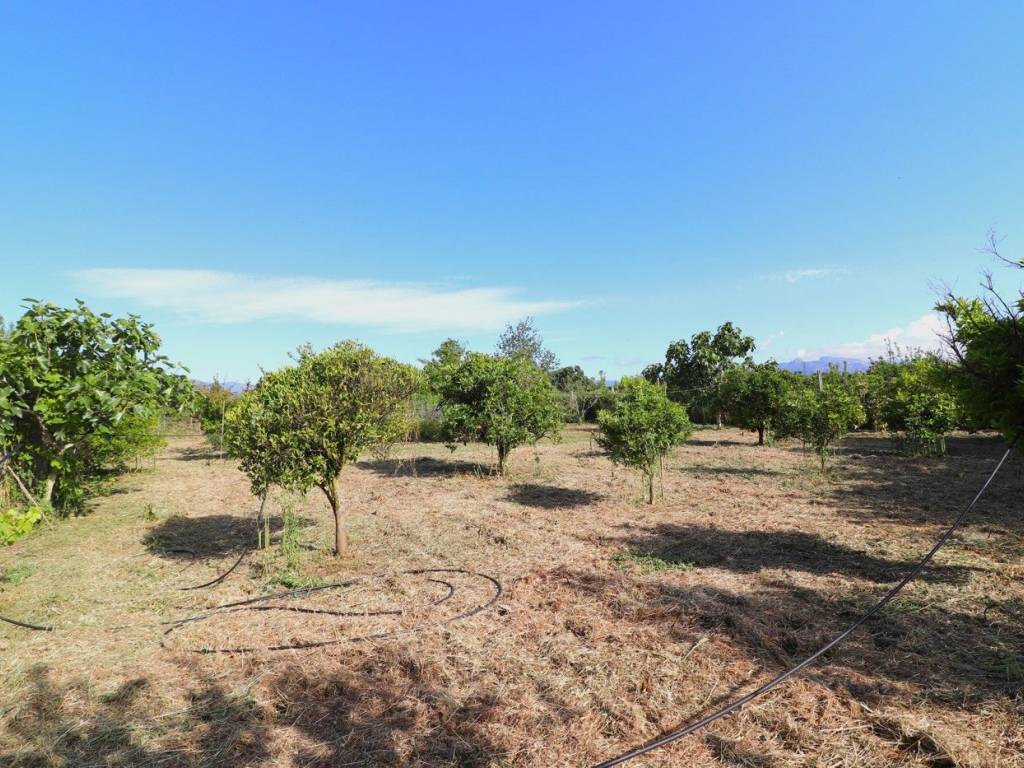 Terreno a Tortolì in Località Basaura, snc - Foto 5