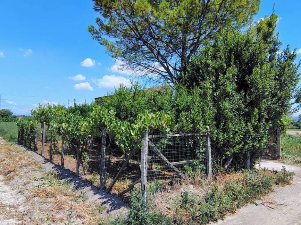 Terreno a Acerra in Via Lenza - Foto 5