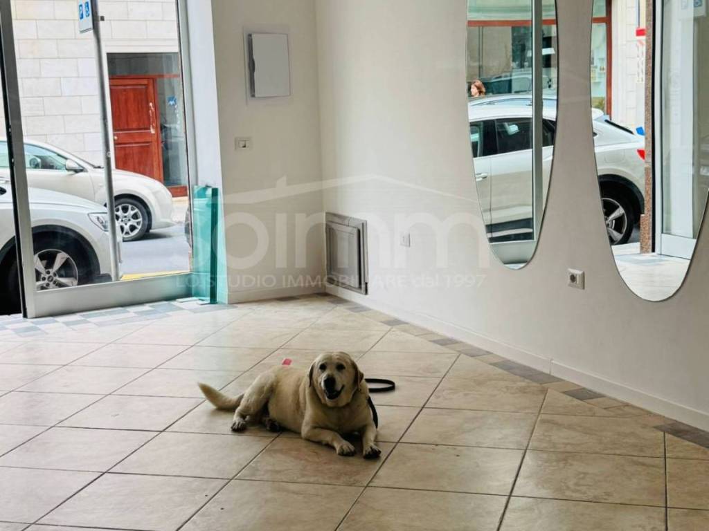 Immobile a Cagliari in Via Grazia Deledda, 25 - Foto 2