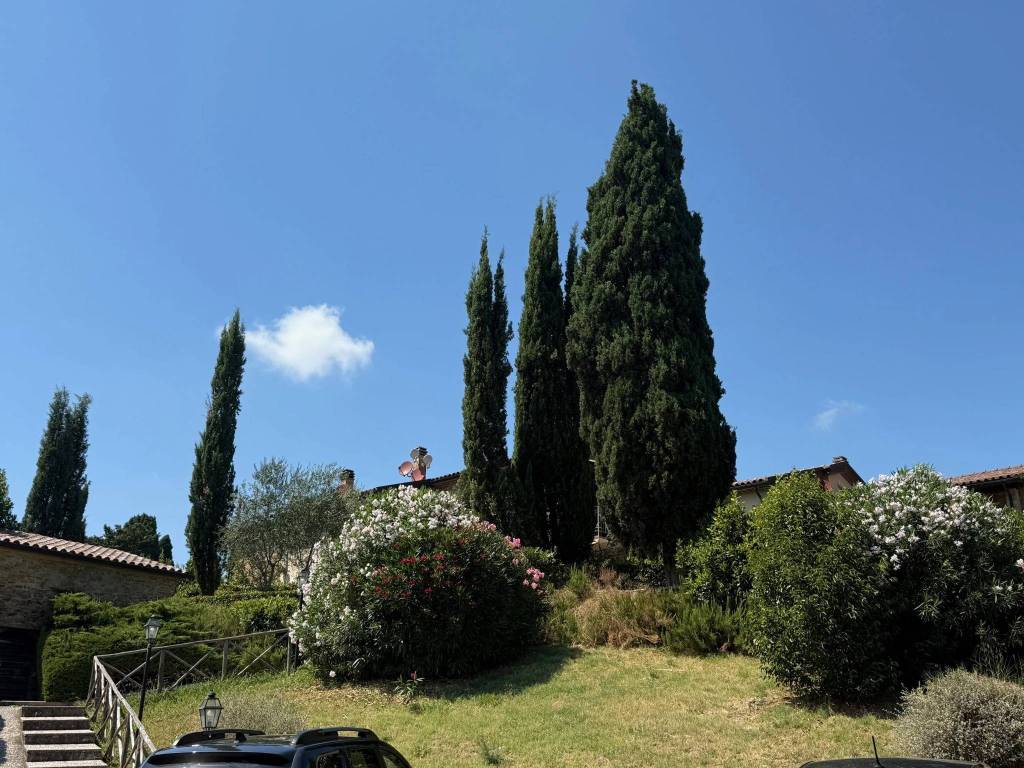 Appartamento a Riparbella in Località San Martino - Foto 3