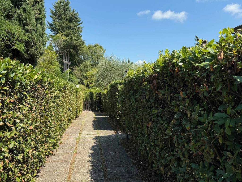Appartamento a Riparbella in Località San Martino - Foto 4