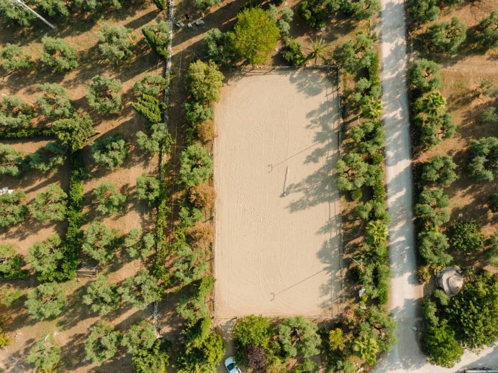 Rustico / casale a Bisceglie in Strada Provinciale, 23 - Foto 4