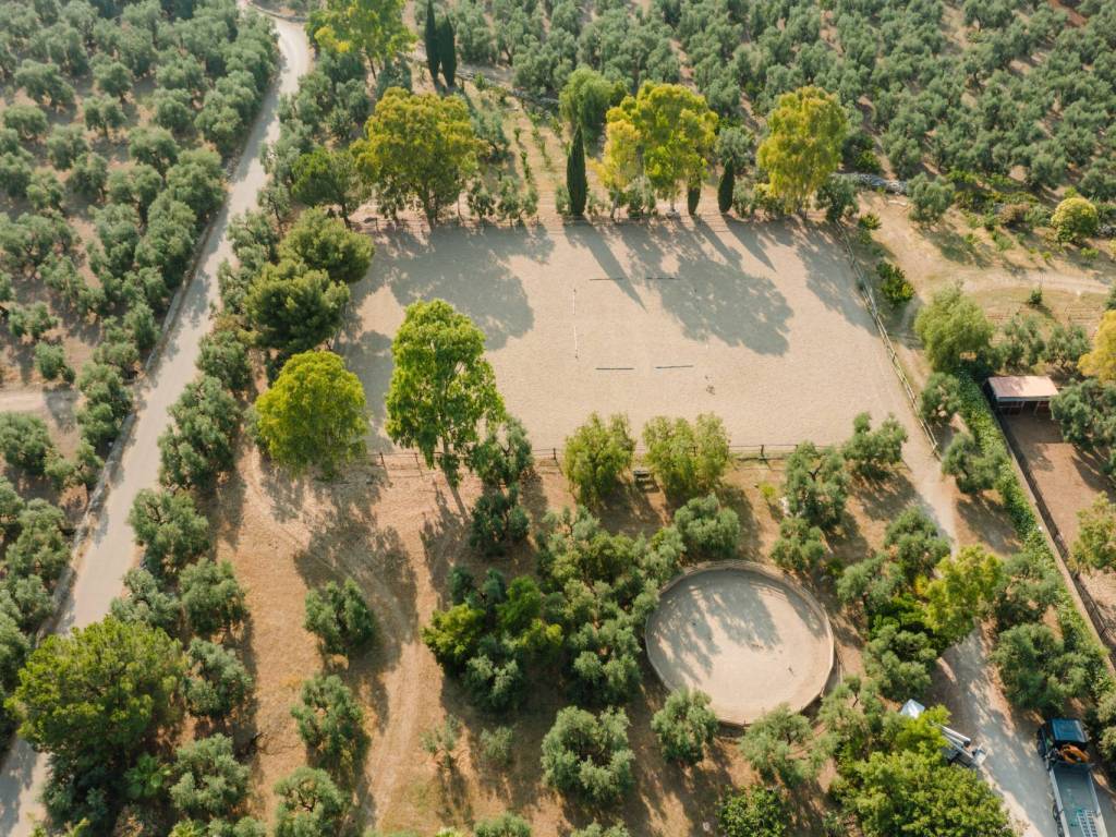 Rustico / casale a Bisceglie in Strada Provinciale, 23 - Foto 5