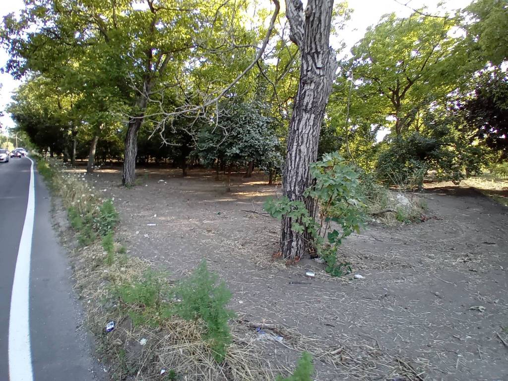 Terreno a San gennaro vesuviano in Via Mandrile - Foto 2