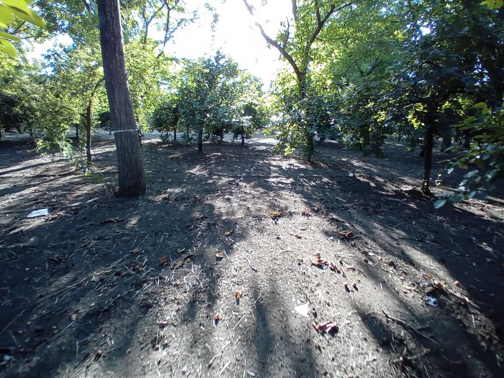 Terreno a San gennaro vesuviano in Via Mandrile - Foto 3