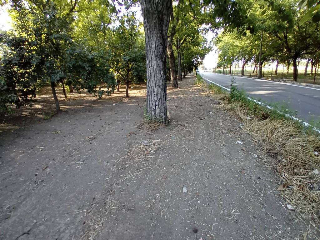 Terreno a San gennaro vesuviano in Via Mandrile - Foto 4
