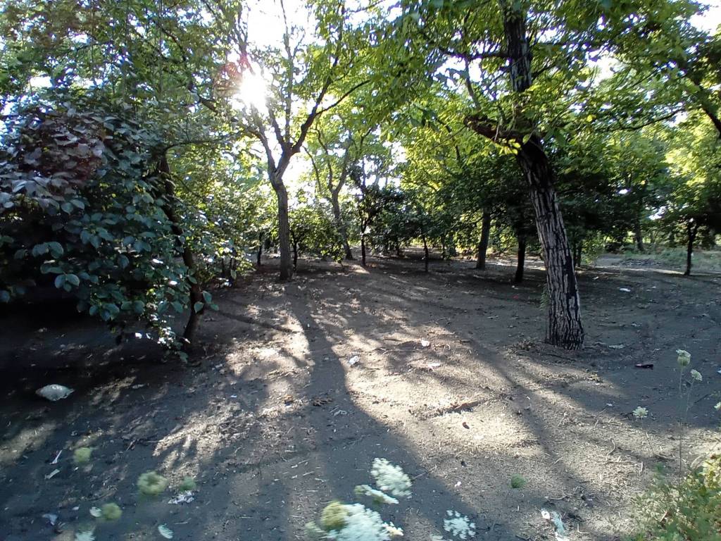 Terreno a San gennaro vesuviano in Via Mandrile - Foto 5