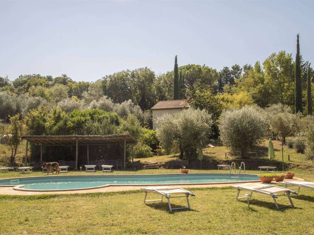 Rustico / casale a Cinigiano - Foto 3